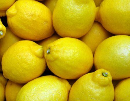 lemons 2039830_1920